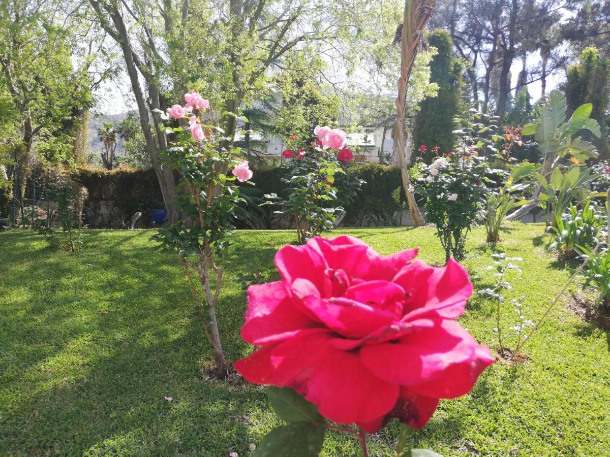 Couette-café Flora *