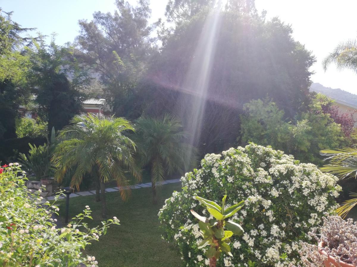 Flora Bed & Breakfast