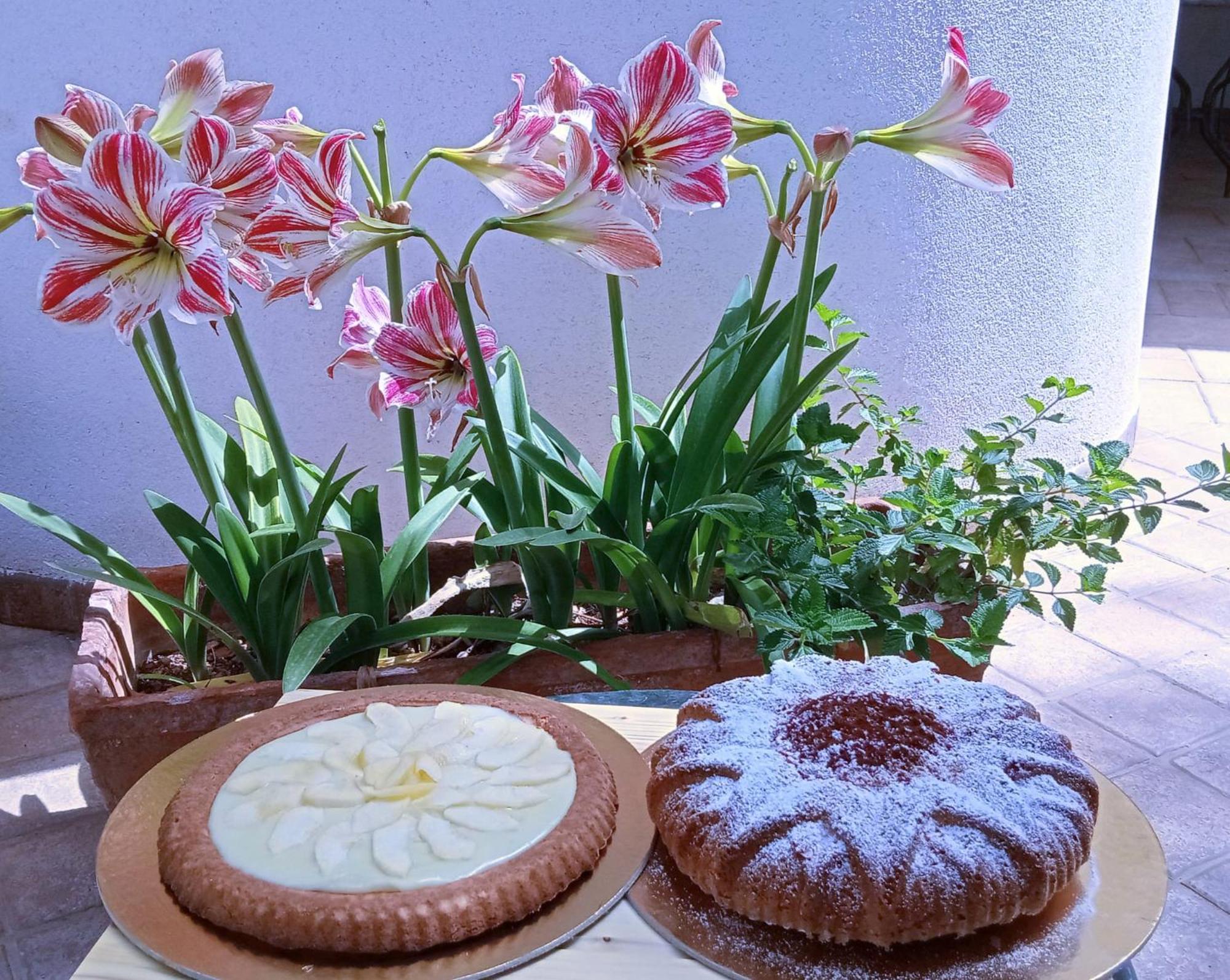 Bed & Breakfast Flora *